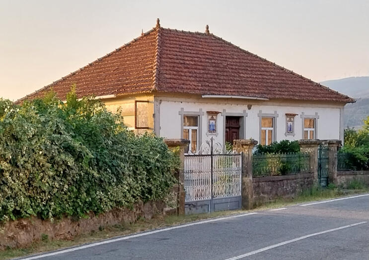 Road view
